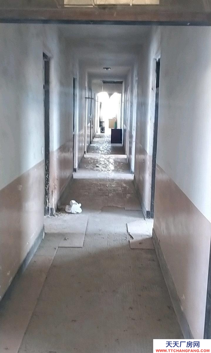 舟山市岱山(出租) 樓上4百平米通間也可隔斷，樓下4百平米，