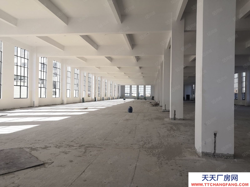 (出租) 常州天寧區雕莊中吳大道3600方單層廠房出租 可分租可做休閑食品