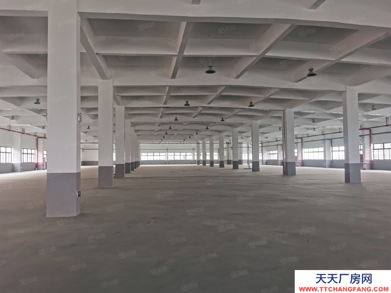 臺州市椒江(出租) 單門獨院出租濱海工業園區（一樓1200 平高度7.5米）  蛋制品