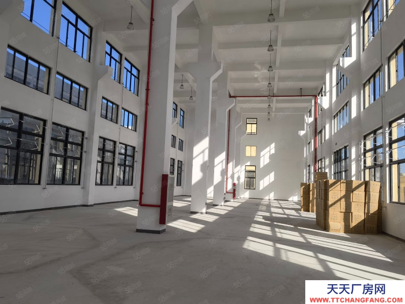 臺州市椒江(出租) 急租精裝修廠房楓南路全新獨棟15層,無行業要求形象好