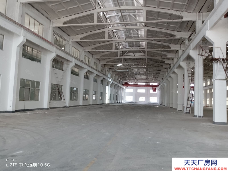 (出租) 常州天寧低價出租鄭陸工業集中區獨棟約2200平方標準單層行車適合機械