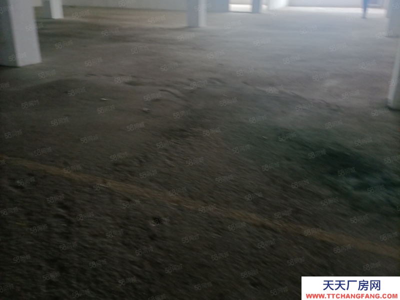 臺(tái)州市椒江(出租) 出租洪家倉庫二樓1300平，混泥土結(jié)構(gòu)，可分割，價(jià)格便宜