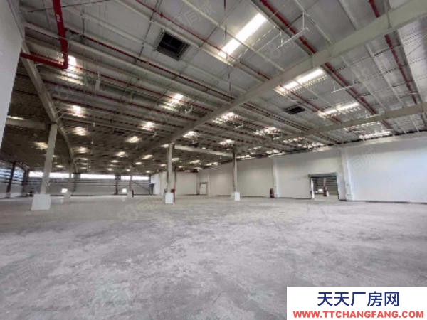 臺(tái)州市椒江(出租) 出租集聚區(qū)全新標(biāo)準(zhǔn)物流倉庫有高臺(tái)大車進(jìn)出方便