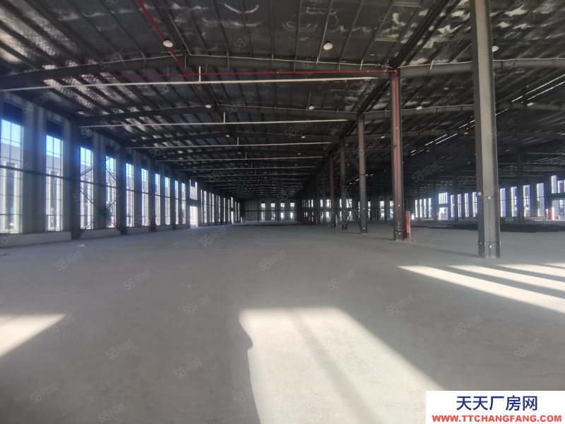 臺(tái)州市椒江(出租) 出租濱海 5000平倉庫 只適合倉庫 國(guó)企內(nèi)部