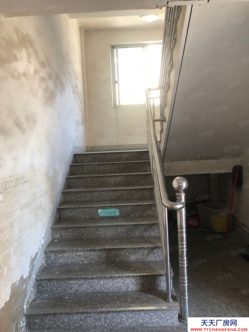 臺州市椒江(出售) 濱海工業(yè)區(qū)廠房20畝出售    薯類和膨化食品