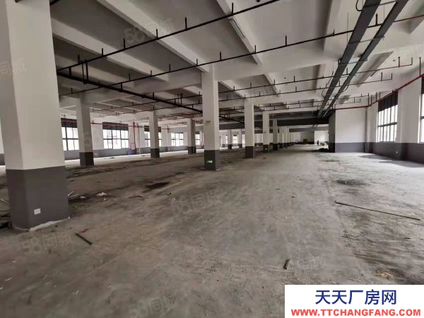 福州市連江機(jī)加工廠房  連江縣城，獨(dú)院30畝鋼混結(jié)構(gòu)廠房出售