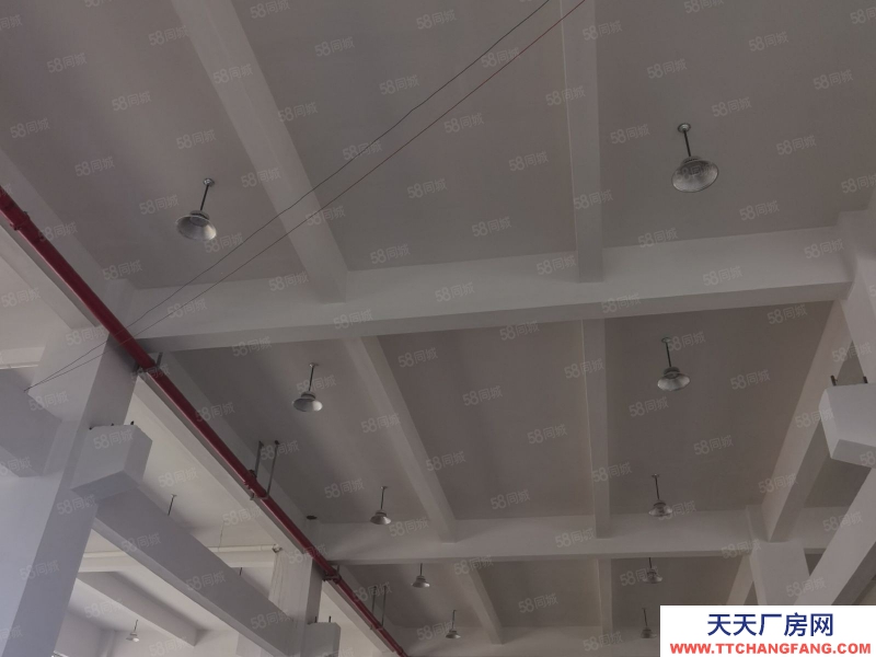 臺州市黃巖(出租) 出租，黃巖區(qū)十里鋪樓上2000平 蜂產(chǎn)品