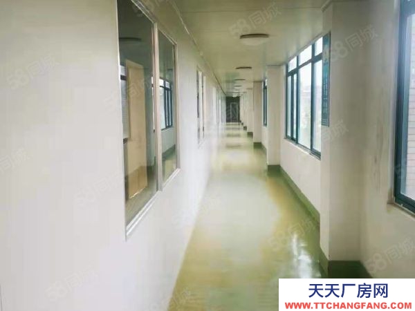 福州市羅源豆制品廠房 390萬轉讓出售廠房羅源白塔鄉鎮工業區6畝地蓋了3千多平