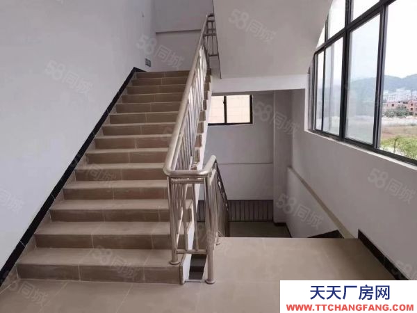 福州市羅源豆制品廠房 390萬轉讓出售廠房羅源白塔鄉鎮工業區6畝地蓋了3千多平