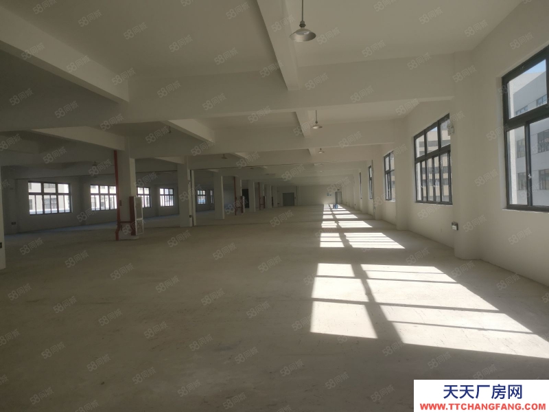 臺(tái)州市黃巖(出租) 出租澄江工業(yè)區(qū)倉庫1000平方高4米12元平方可分割500