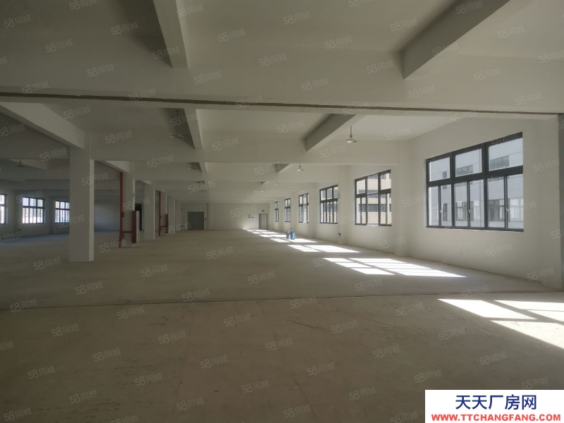 臺州市黃巖(出租) 出租澄江工業區倉庫1000平方高4米12元平方可分割500