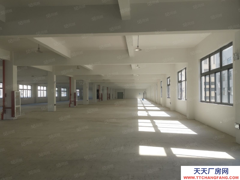 臺州市黃巖(出租) 出租北城工業區倉獨門獨戶1300平方12元大車可進