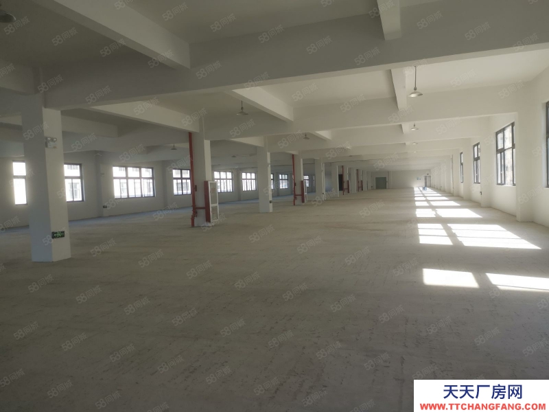 臺州市黃巖(出租) 岀租江口工業區倉庫600平13元平方大車可進