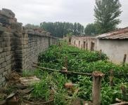 (出租) 漯河舞陽現有一閑置養殖場對外出租，價格面議