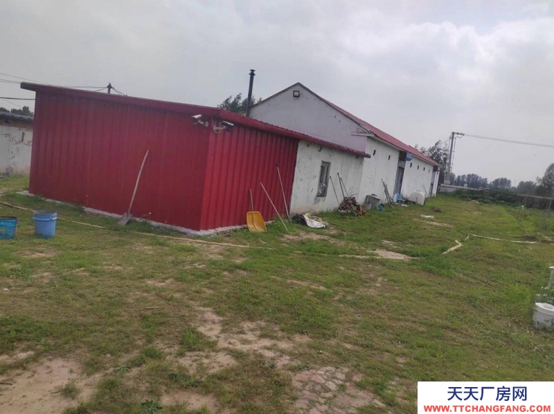 (出售) 出租 出售廠房 非常適合興建糧庫、生產加工企業和養殖