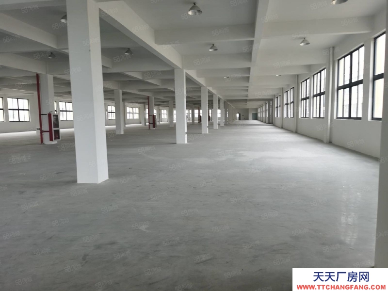 臺(tái)州市黃巖(出售) 出售黃巖江口廠房,土地12米,建筑面積13500平。一樓8米 冷凍飲品