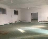 (出租) 三峽門湖濱新蓋倉庫出租，美觀實用