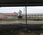 (出租) 出租三門峽陜州區廠房/倉庫鄰近省道面積任選