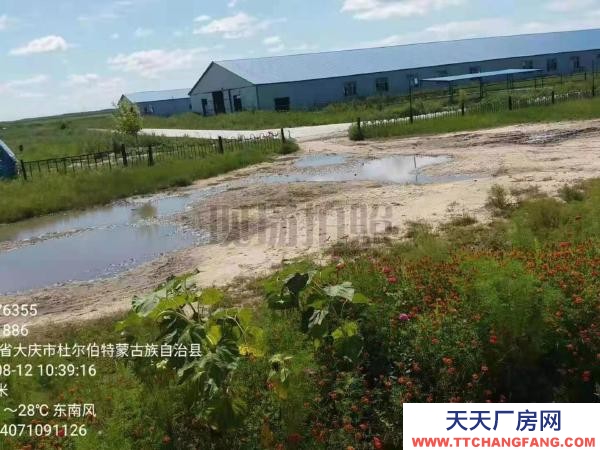 杜爾伯特廠房面積大，適合養殖，設備齊全