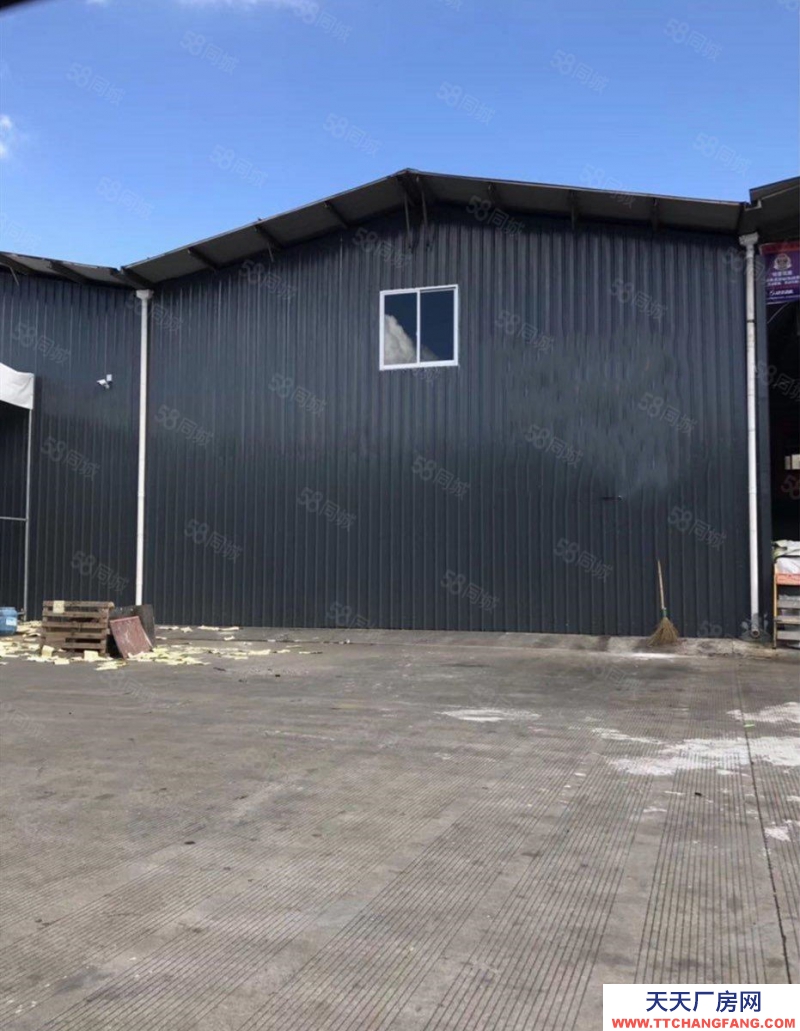 臺州市路橋 (出租) 出租路北街道鋼架廠房一樓850平交通方便 蜂產品