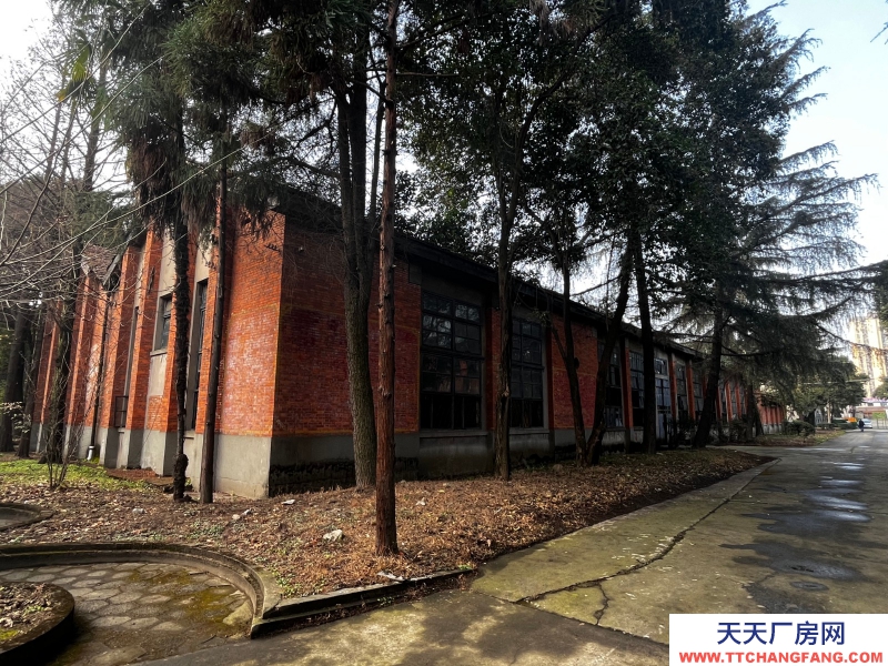 出租金牛沙河源 廠房 倉庫 場地 川建園區內