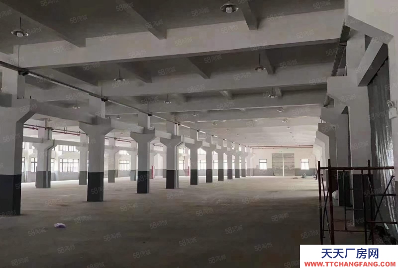 臺州市路橋(出租) 出租路橋黃巖椒江濱海30000平方可分割，歡迎咨詢  罐頭