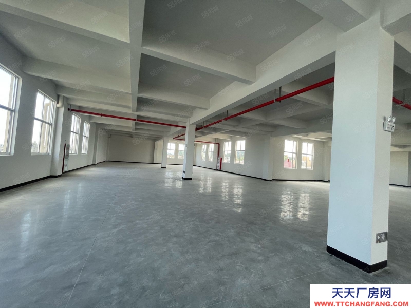 臺州市路橋(出租) 新橋獨門獨院新廠房共4層4500平高度8米可分租 酒類