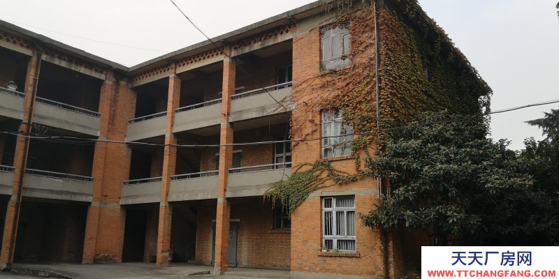 出租金牛沙河源 廠房 倉庫 場地 川建園區內