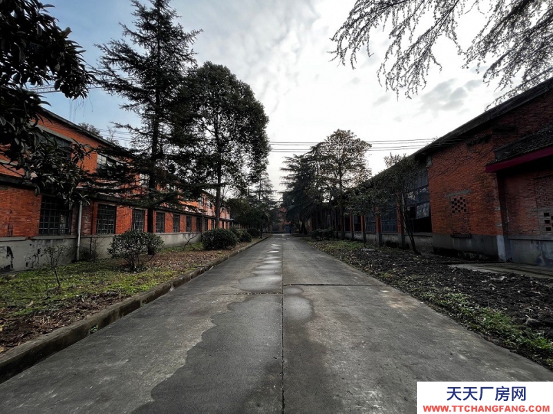 出租金牛沙河源 廠房 倉庫 場地 川建園區內