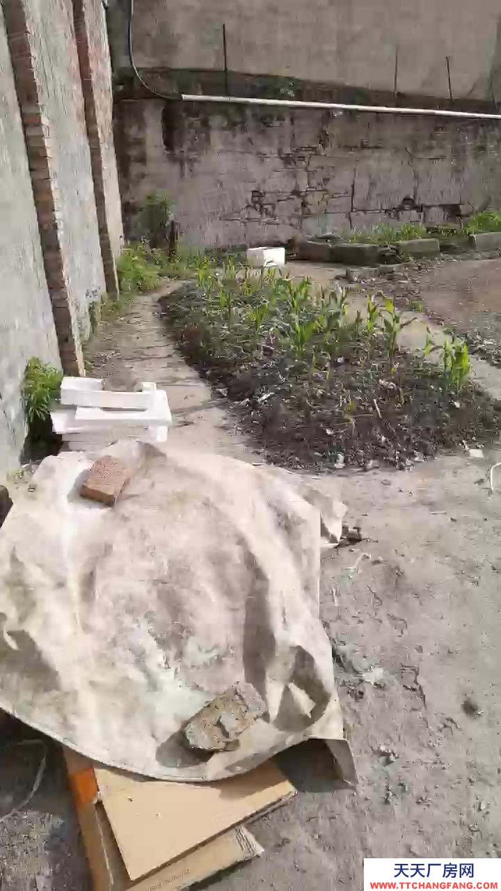 臺州市路橋(出售) 出售峰江104國道旁邊空地5畝規劃4層6100平方  保健食品