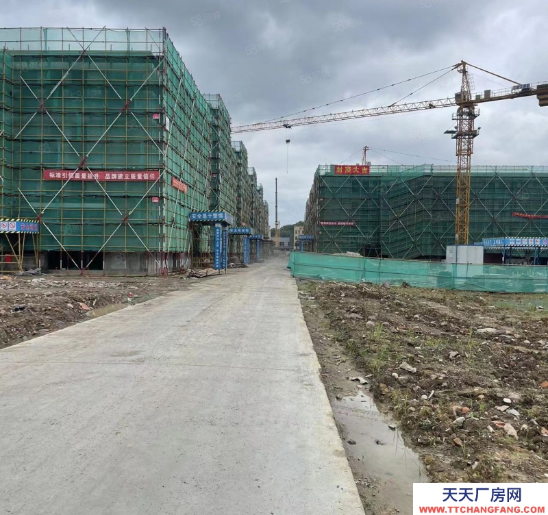 臺州市路橋(出售) 500起，非中介，出售50年獨立產權廠房，三證齊全可按揭   乳制品