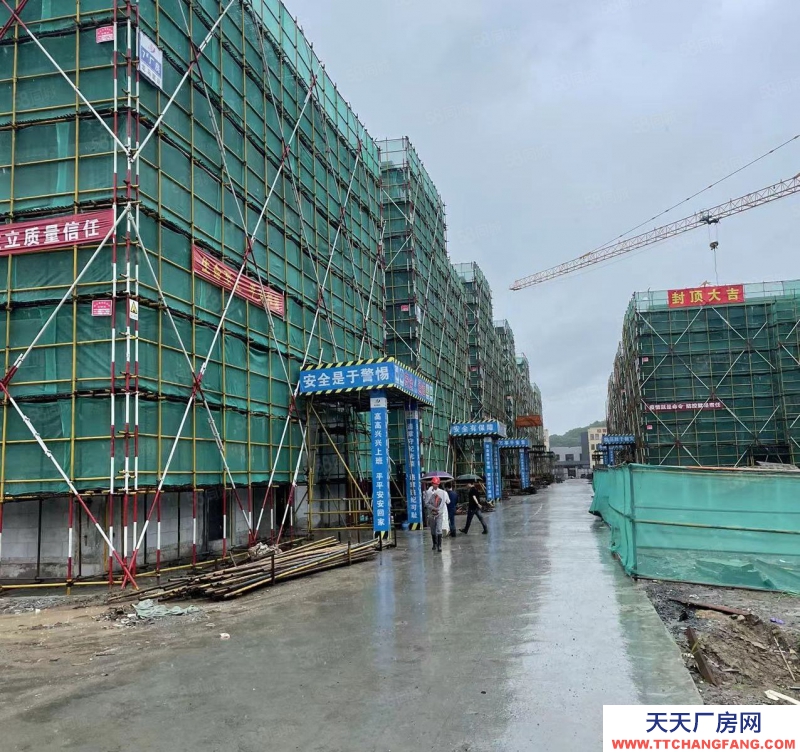 臺州市路橋(出售) 500起,非中介,出售50年獨立產權廠房,三證齊全可按揭 乳制品