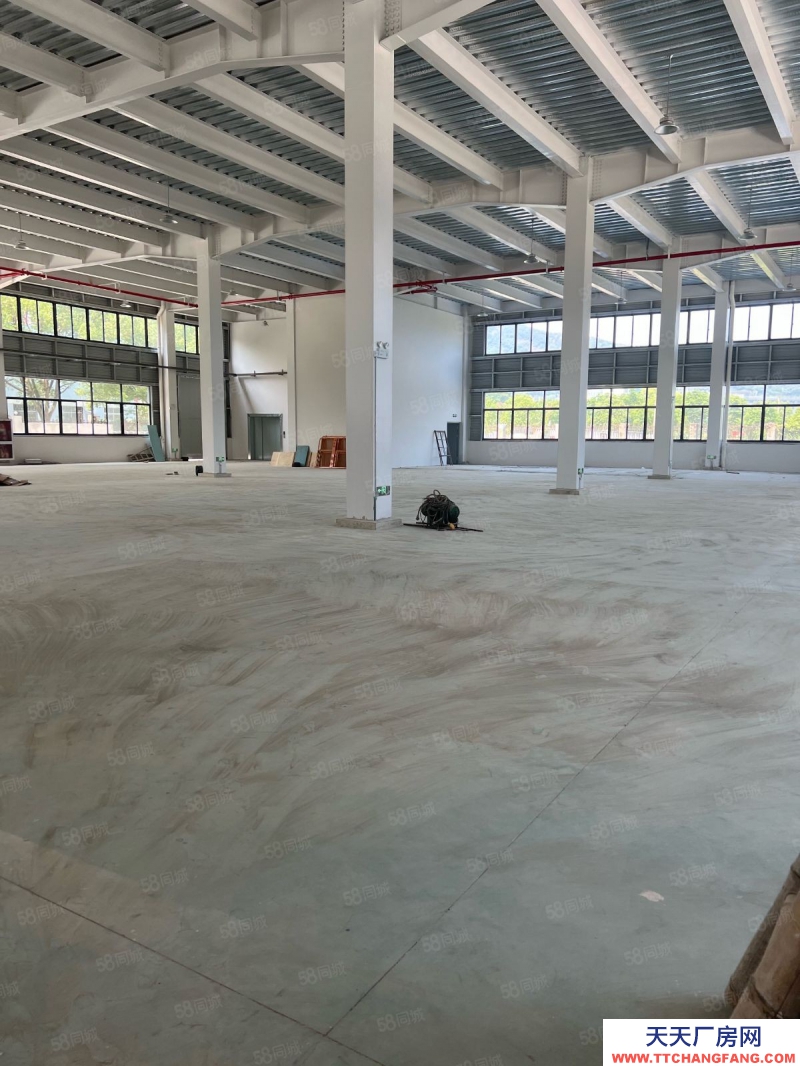 臺州市路橋(出售) 出售廠房路南眾創上張工業區獨門獨院    蔬菜制品