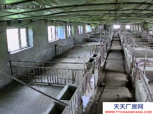 鐵力交通便利，三項電，自來水，深水井 養殖廠房