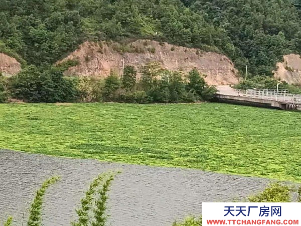 贛州市贛縣機加工廠房 鄉(xiāng)村湖景房出租 居龍?zhí)端畮爝叄勺狻⒖墒邸⒖珊匣镩_發(fā)民宿)