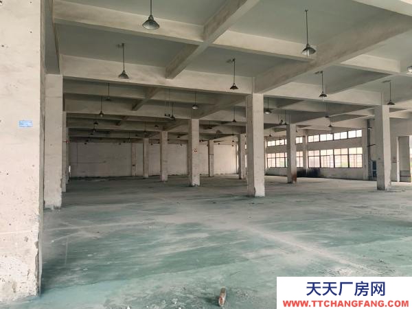 臺州市玉環(huán)縣(出租) 出租玉環(huán)縣玉環(huán)周邊房東直租 淀粉及淀粉制品