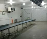 (出租) 鶴壁山城新建肉類冷凍食品廠，內(nèi)設(shè)冷庫(kù)設(shè)備，證件齊全，即刻投入使用