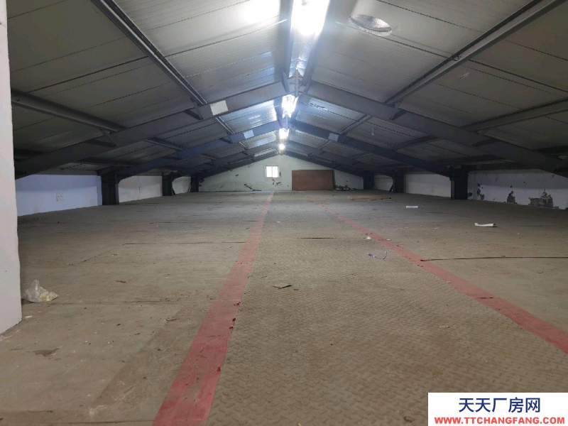 臺州市玉環縣(出租) 二層閣樓倉庫，月租金每平方7元，電梯上下貨，大車進出方便