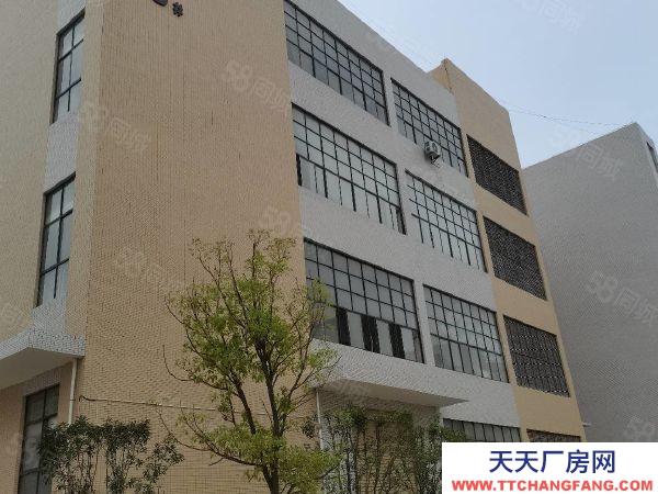贛州市南康家具廠  鏡壩家具生產標準廠房出租