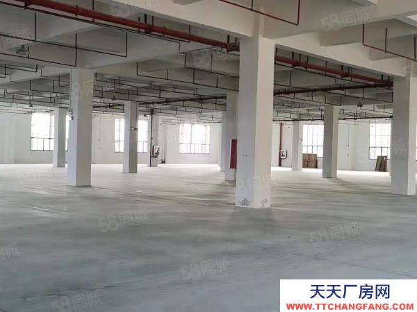 贛州市南康家具廠 家具核心區(qū)標(biāo)準(zhǔn)廠房出租