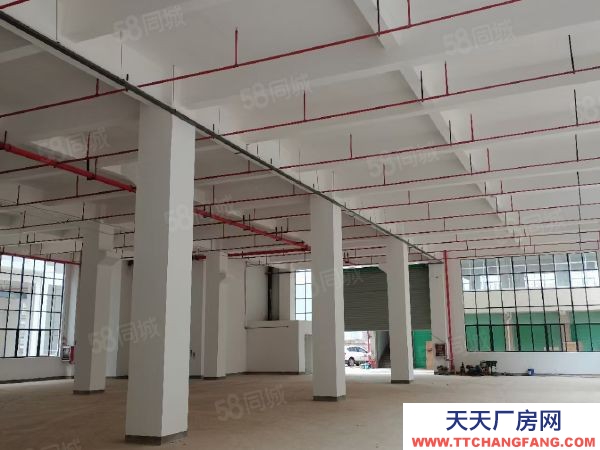 贛州市南康家具廠 家具核心區(qū)標(biāo)準(zhǔn)廠房出租