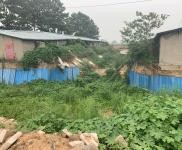 (出租) 鶴壁浚縣可以整租廠(chǎng)區(qū)可以單獨(dú)租棚