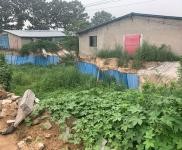 (出租) 鶴壁浚縣可以整租廠(chǎng)區(qū)可以單獨(dú)租棚