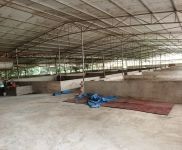 (出租) （51旺鋪）桂林市秀峰4000平大型養豬場出租設備設施齊全