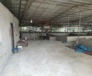 (出租) （51旺鋪）桂林市秀峰4000平大型養豬場出租設備設施齊全