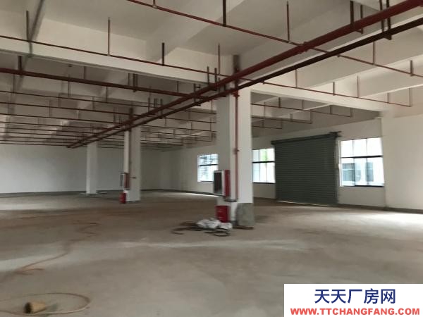 贛州市南康機加工廠房 龍嶺智造谷標準廠房一樓出租