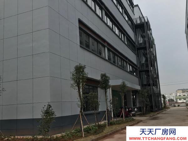 贛州市南康機加工廠房 龍嶺智造谷標準廠房一樓出租