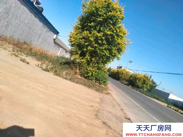 衡水 饒陽(出租發酵肉制品廠房) 獨門獨院水電齊全交通便利