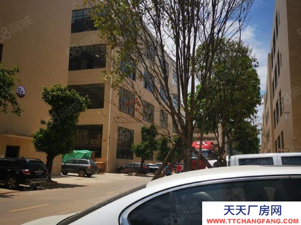 贛州市南康家具廠 南康龍領(lǐng)東標(biāo)準(zhǔn)廠房轉(zhuǎn)讓