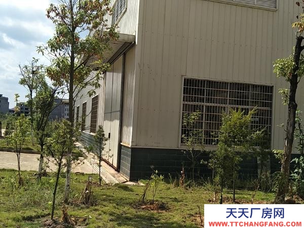 贛州市瑞金機加工廠房  瑞金經(jīng)開區(qū)323國道邊 廠房 1300平米